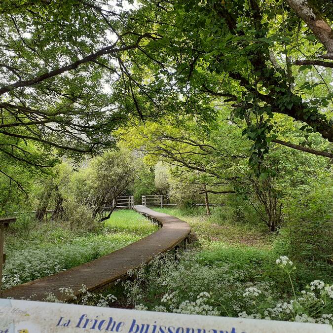 Les jardins de la Clouère à Usson-du-Poitou