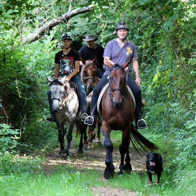 Hiking trail in Sud-Vienne-Poitou