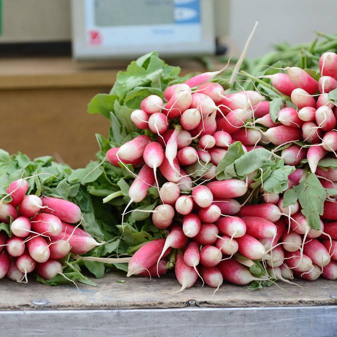 Les marchés en Sud Vienne Poitou