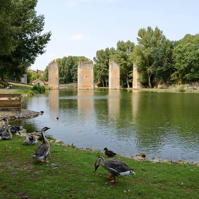 Etang - Lussac-les-Châteaux