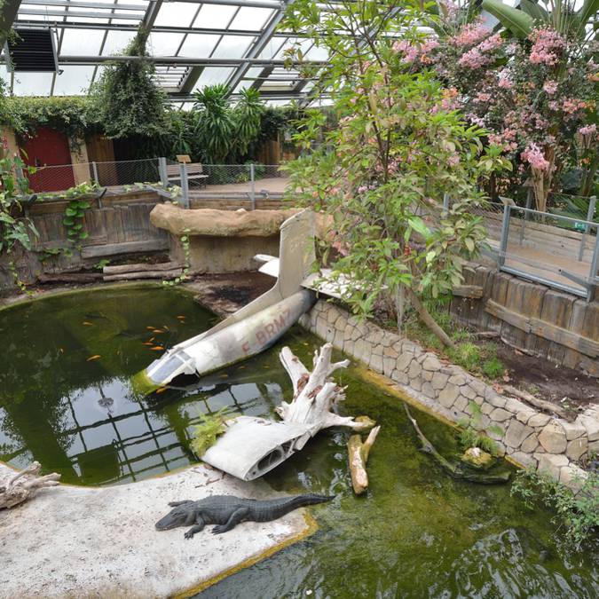 The “Terre de Dragons"  in Sud-Vienne-Poitou